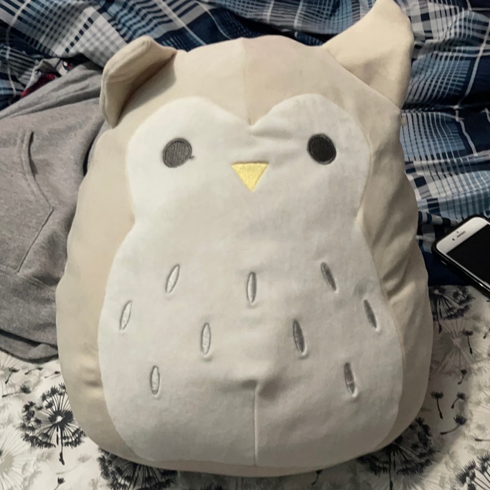 Owl squishmallow